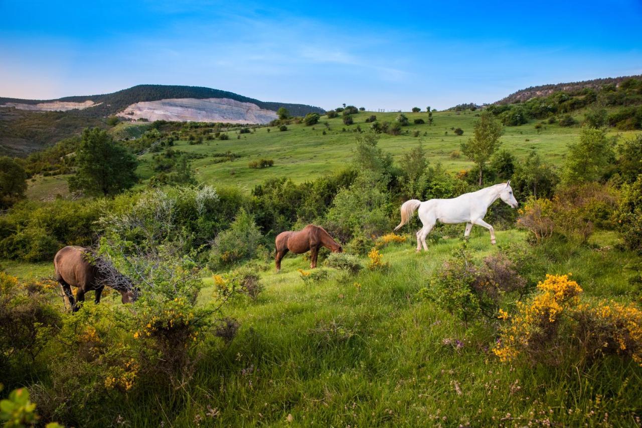 Hospedaje Rural Casa Parri Poveda de la Sierra Exteriör bild